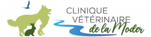 Clinique vétérinaire de la Moder