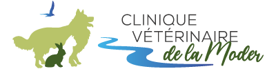 Clinique vétérinaire de la Moder Logo